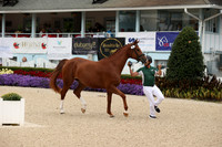 RJC31388