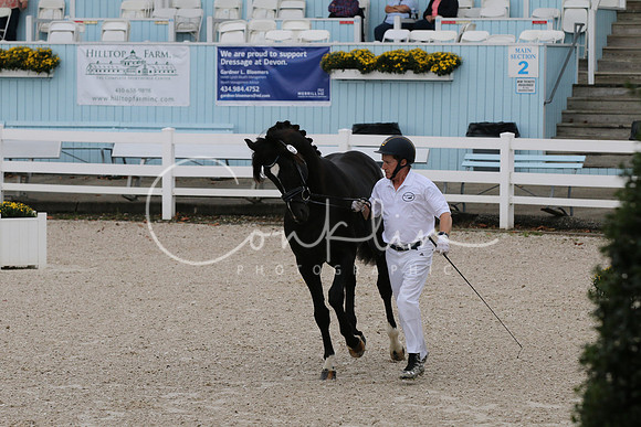 IMG_2748