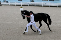 IMG_2523