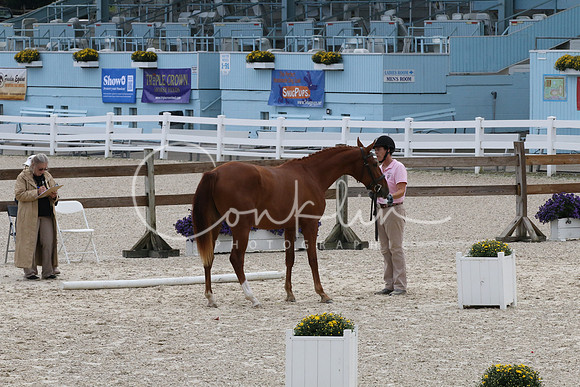 IMG_3121
