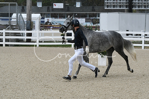 HSM_0655
