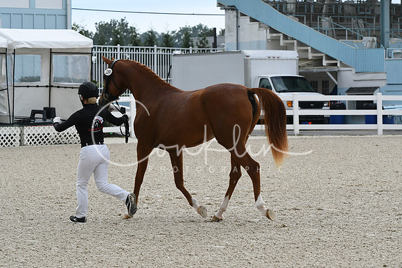 HSM_0789