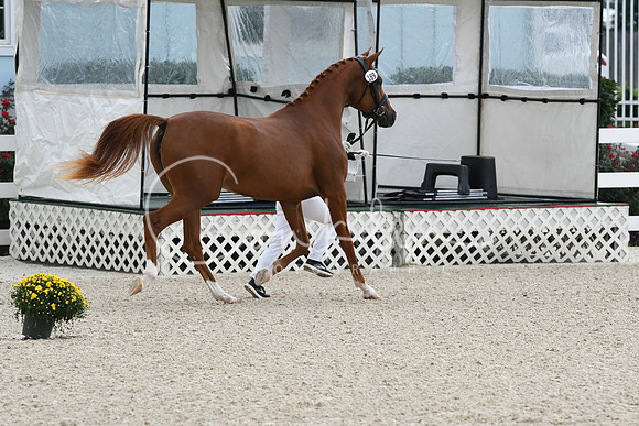 HSM_0790
