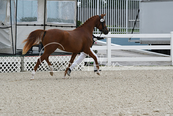 HSM_0792