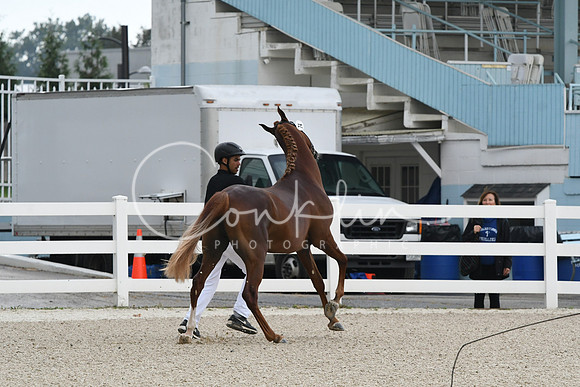 HSM_0763