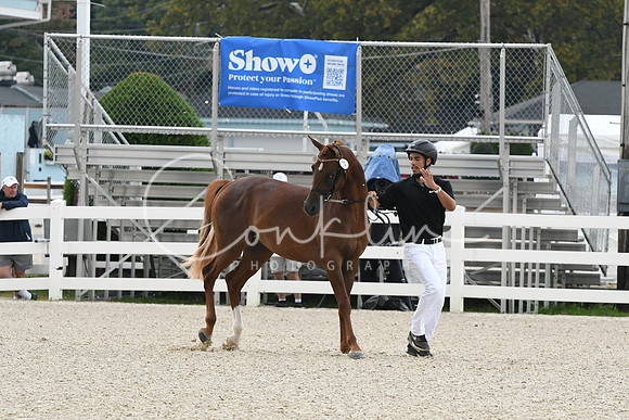 HSM_0770