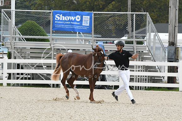 HSM_0771
