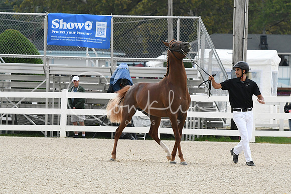 HSM_0773