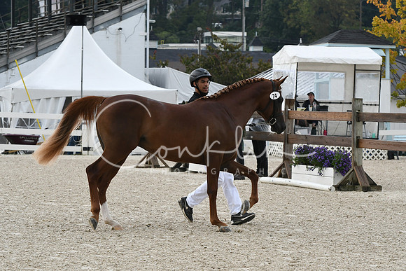 HSM_0776