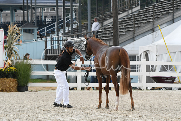 HSM_0779