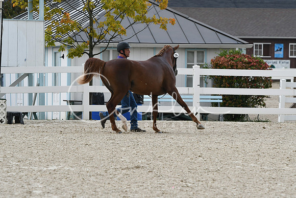 HSM_0816