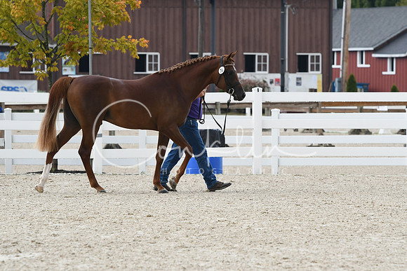 HSM_0818