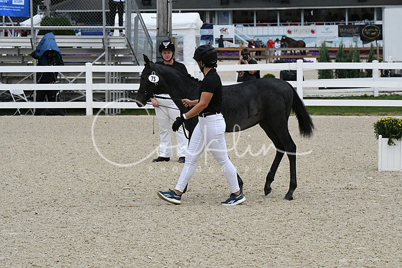 HSM_0710