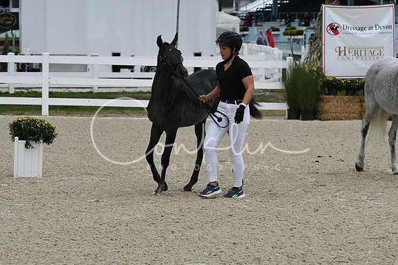 HSM_0709