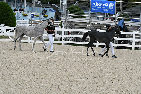 HSM_0713