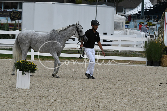 HSM_0716