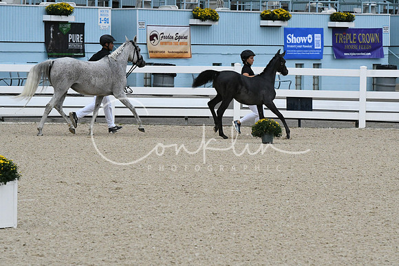 HSM_0728