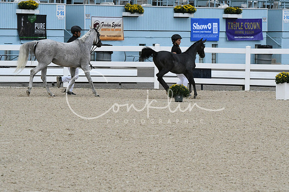 HSM_0729