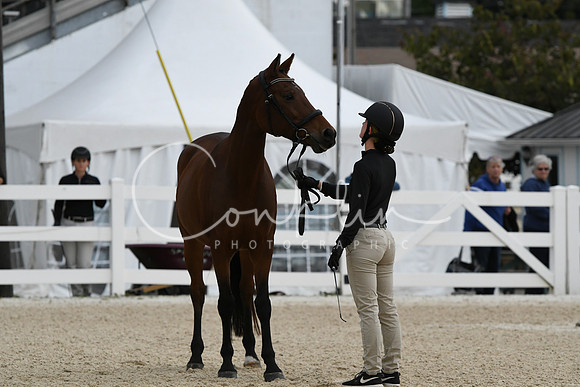 HSM_0567