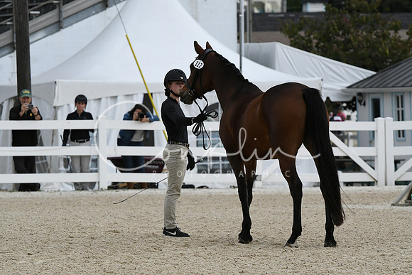 HSM_0591