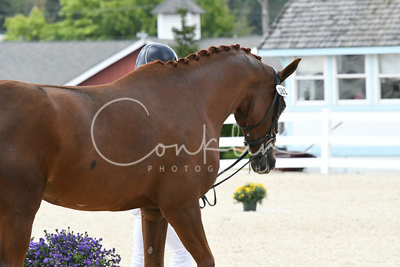 HSM_0621
