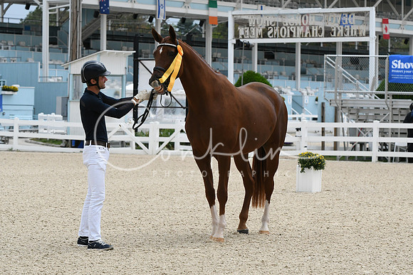 HSM_0631