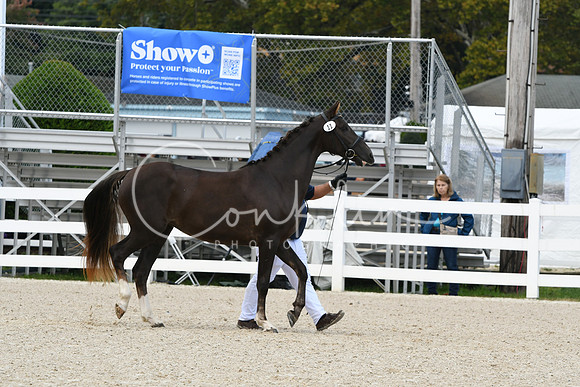 HSM_1207