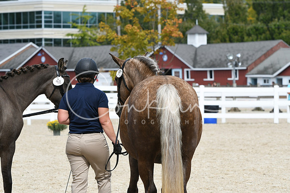 HSM_1268