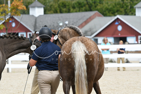 HSM_1270