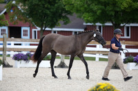 795A0650