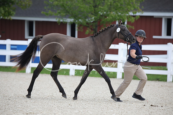 795A0660