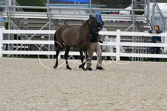 HSM_1236