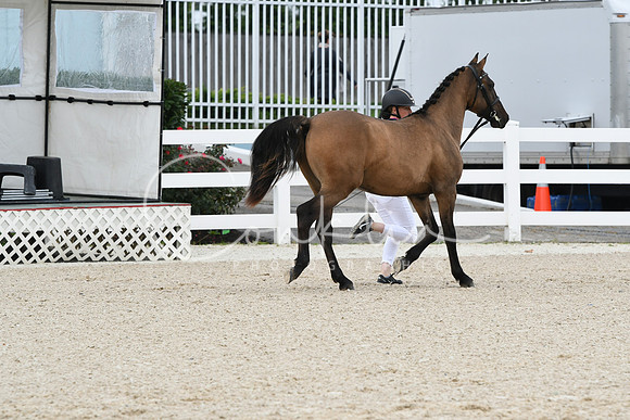 HSM_1119