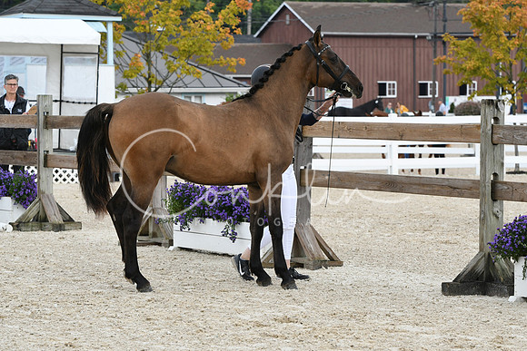 HSM_1126