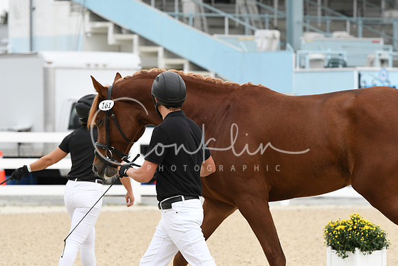 HSM_1663
