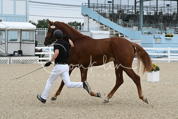 HSM_1669