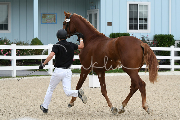 HSM_1670