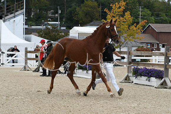 HSM_1681