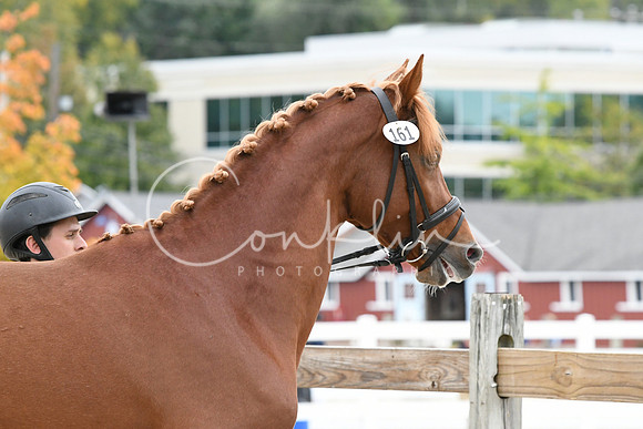 HSM_1682