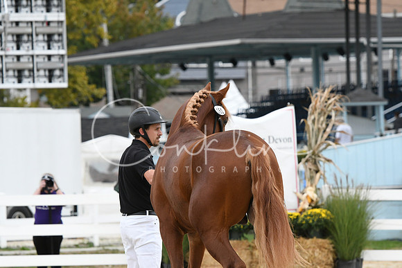 HSM_1684