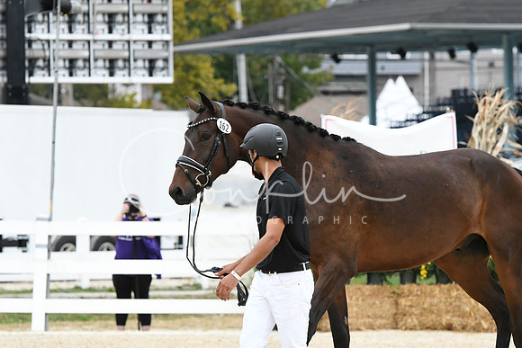 HSM_1694