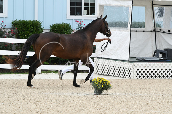 HSM_1700