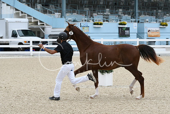 HSM_1828
