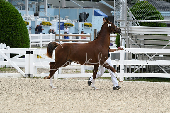 HSM_1830