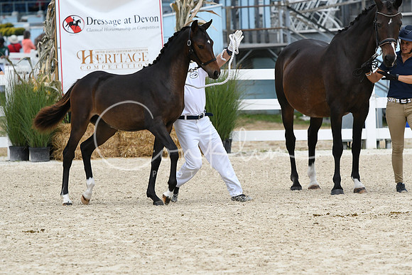 HSM_2057