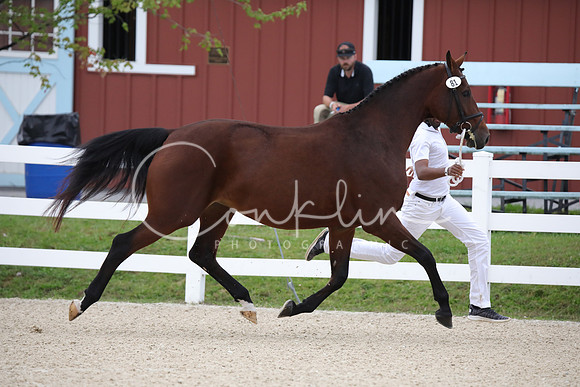 795A1702