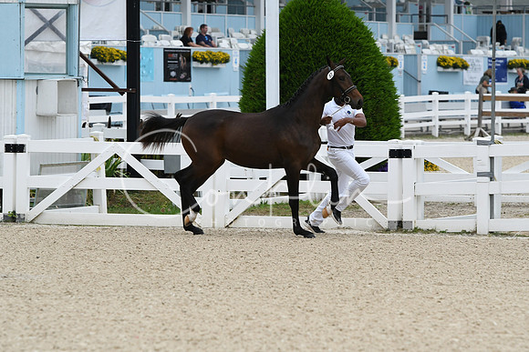HSM_1763