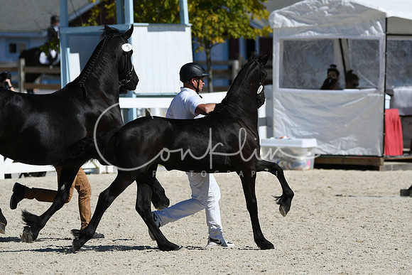 HSM_4695
