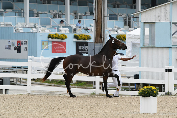 HSM_1787