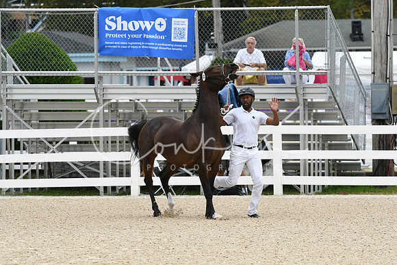 HSM_1792